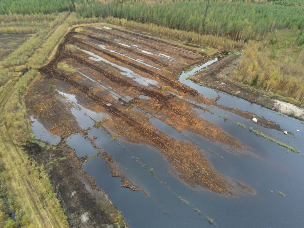 Ilmakuva rahkasammalen siirrosta ennallistetulla turvetuotantoalueella