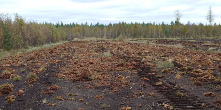 Turvetuotantoalueen ennallistaminen Sievin Puronnevalla