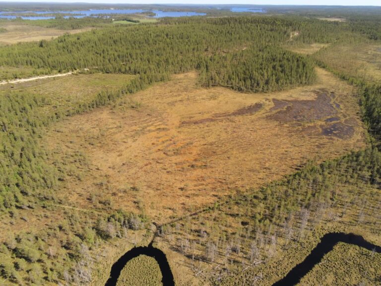 Uuden mallinnuksen avulla mitattavuutta metsätalouden vesiensuojeluun