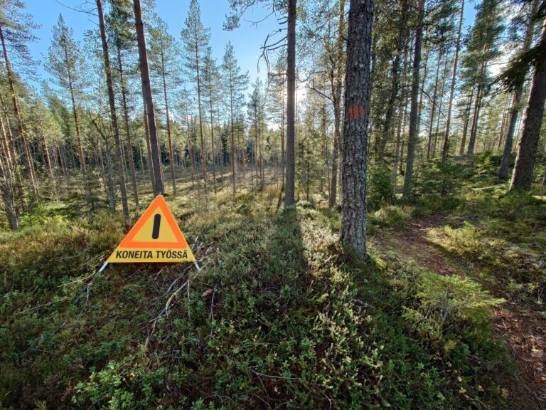 Vääräjärven suon ennallistamisen suunnittelu, työmaaohjaus ja koulutus – EHTO/TEOS-hankkeet